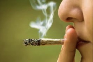 Cannabis: sortir des impasses