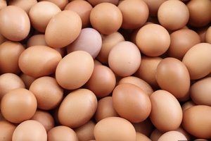 La poule et l’œuf, ou comment l’indice Big Mac a été supplanté par la géopolitique du poulailler