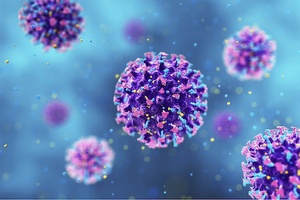 Hantavirus et la fabrique du négatif