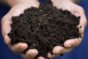 Inhumation ou crémation? La nouvelle option humusation